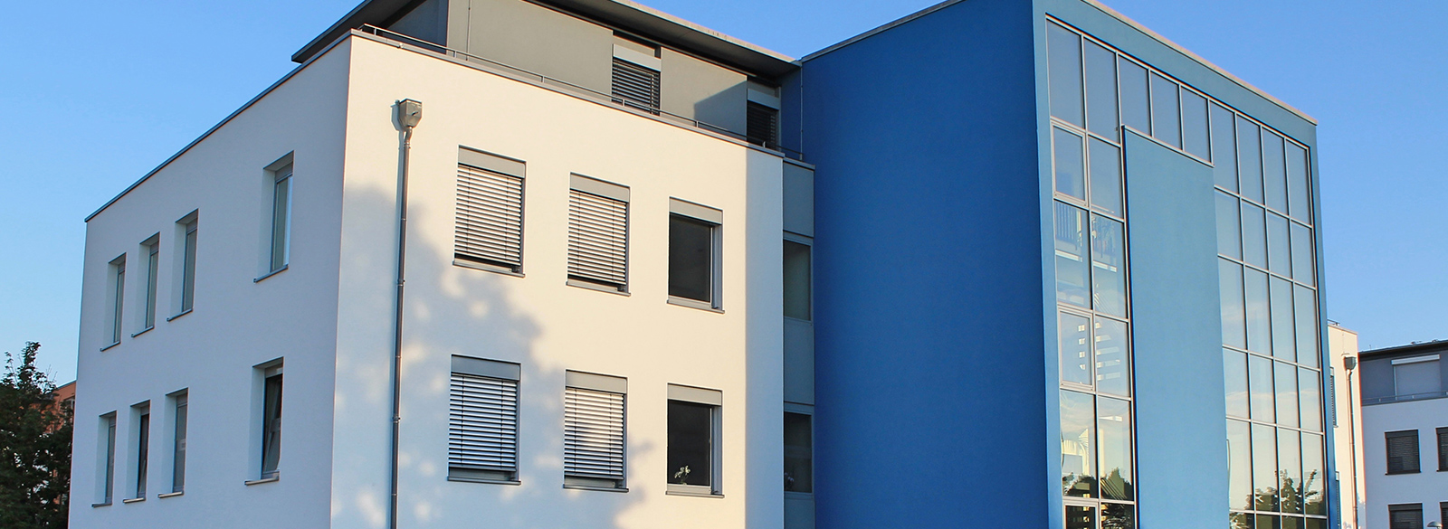 Steurat GmbH Bensheim - Peter Riedel